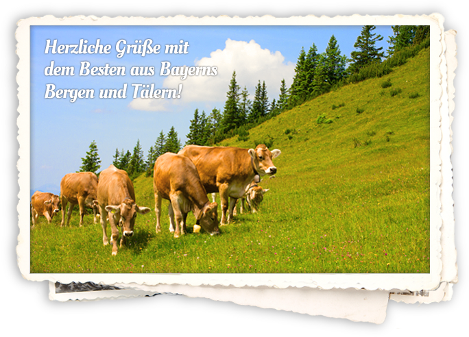 schk_header-sommer_hg